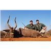 Image 1 : Nyala and Plains Game Hunt in South Africa