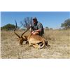 Image 2 : Nyala and Plains Game Hunt in South Africa