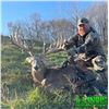Image 10 : Illinois Dominant Bucks Whitetail Hunt