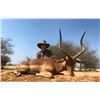 Image 3 : 10-Day Namibia Eland and Plains Game Hunt