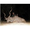 Image 6 : 10-Day Namibia Eland and Plains Game Hunt