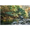 Image 3 : Trophy Trout Fishing on the Historic Soque River, Georgia by High Adventure Company