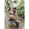 Image 5 : Trophy Trout Fishing on the Historic Soque River, Georgia by High Adventure Company