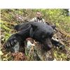 Image 2 : 5-Day 2 Hunters Guided Black Bear Hunt on Vancouver Island, British Columbia