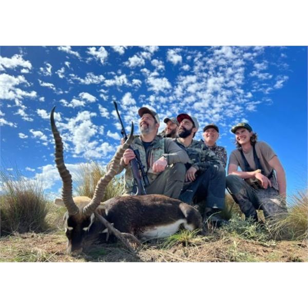 Patagonia Blackbuck Antelope Hunt for Two Hunters With Full Luxury Lodging