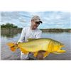 Image 1 : Argentina Northern Territories Free Range Hunt/ Dorado Fishing