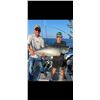 Image 3 : Lake Michigan Fishing Charter for 4 Anglers