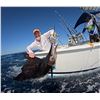 Image 1 : GUATEMALA FISHING PACIFIC FINS RESORT SAILFISH CAPITAL OF THE WORLD