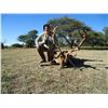 Image 3 : ARGENTINA RED STAG HUNT