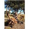 Image 4 : ARGENTINA RED STAG HUNT