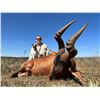Image 1 : NAMIBIA: ELAND HUNT FOR 2 HUNTERS 2 OBSERVERS