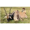 Image 3 : NAMIBIA: ELAND HUNT FOR 2 HUNTERS 2 OBSERVERS
