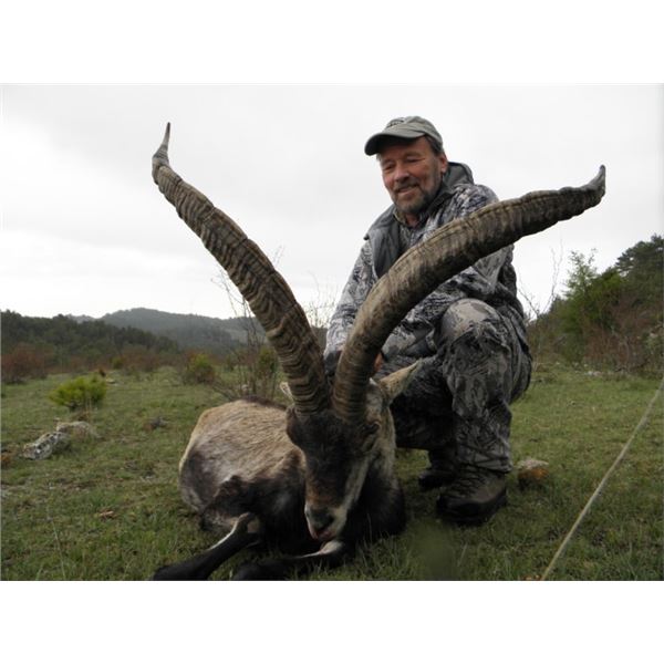 SPANISH IBEX HUNT