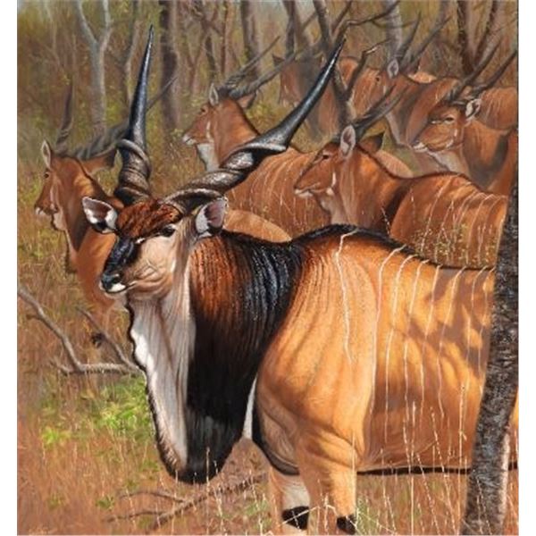 SCI ARTIST OF THE YEAR