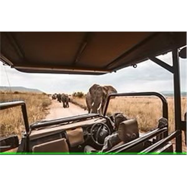 SOUTH AFRICA PHOTO SAFARI BIG FIVE PRIVATE GAME RESERVE