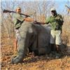 Image 4 : ZIMBABWE DANGEROUS  GAME HUNT