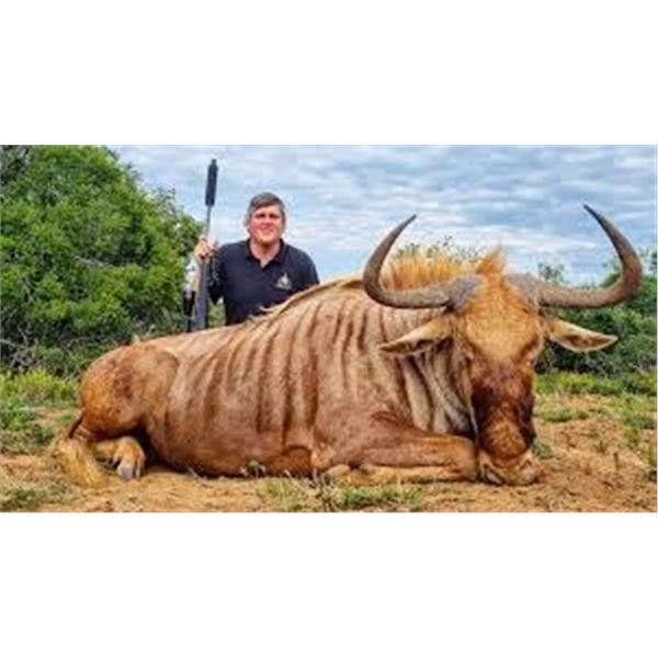 10-Day ELITE SOUTH AFRICA SAFARI HUNT FOR 2 PEOPLE