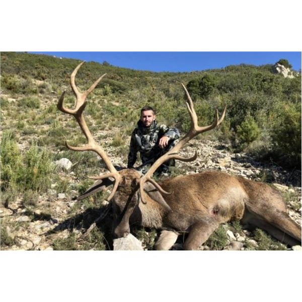 SPAIN: 4 DAY 3 NIGHT COMBINATION HUNT