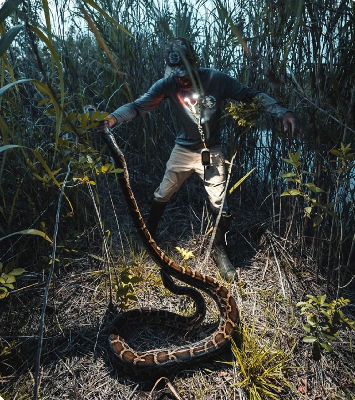 Florida Everglades Python Hunt for Up to 4 Hunters
