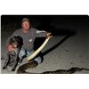 Image 3 : Florida Everglades Python Hunt for Up to 4 Hunters