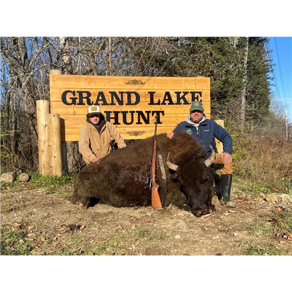 Maine Meat Bison Hunt Package for 1 Hunter