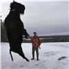 Image 3 : Maine Meat Bison Hunt Package for 1 Hunter