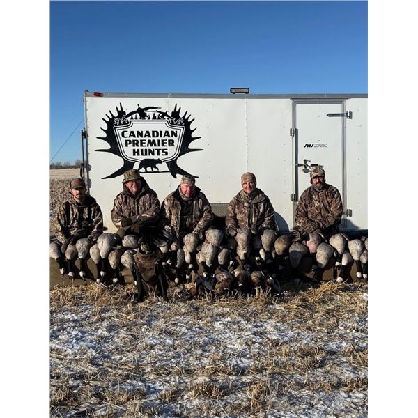Alberta Canada Goose & Duck Hunt for 1 Hunter