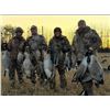 Image 4 : Alberta Canada Goose & Duck Hunt for 1 Hunter