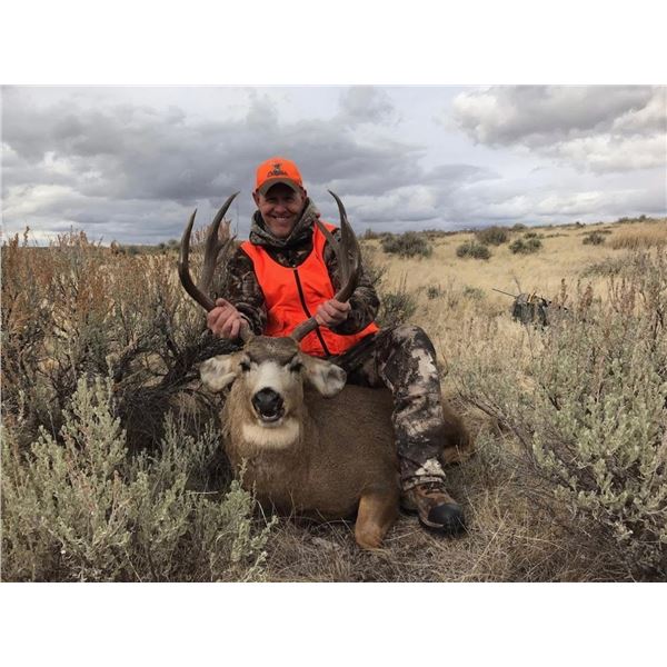 Colorado Guided Mule Deer Hunt for 1 Hunter
