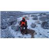 Image 2 : Colorado Guided Mule Deer Hunt for 1 Hunter