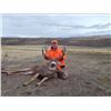 Image 4 : Colorado Guided Mule Deer Hunt for 1 Hunter