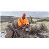 Image 5 : Colorado Guided Mule Deer Hunt for 1 Hunter