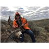 Image 6 : Colorado Guided Mule Deer Hunt for 1 Hunter