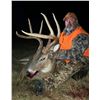 Image 1 : Iowa Free-Range Whitetail Hunt for 1 Hunter