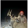 Image 3 : Iowa Free-Range Whitetail Hunt for 1 Hunter