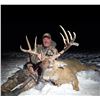 Image 4 : Iowa Free-Range Whitetail Hunt for 1 Hunter