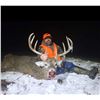 Image 8 : Iowa Free-Range Whitetail Hunt for 1 Hunter