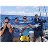 Image 2 : Offshore Tuna, Marlin, Mahi & Wahoo Trip for Up to 6 Anglers