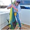 Image 8 : Offshore Tuna, Marlin, Mahi & Wahoo Trip for Up to 6 Anglers