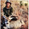 Image 3 : Southern Arizona Coues Deer Hunt for 1 Hunter
