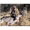Image 4 : Southern Arizona Coues Deer Hunt for 1 Hunter