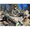 Image 5 : Southern Arizona Coues Deer Hunt for 1 Hunter