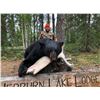 Image 1 : Saskatchewan Black Bear Hunt for 2 Hunters