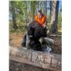 Image 2 : Saskatchewan Black Bear Hunt for 2 Hunters