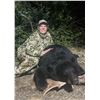 Image 3 : Saskatchewan Black Bear Hunt for 2 Hunters