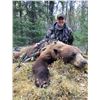 Image 5 : Saskatchewan Black Bear Hunt for 2 Hunters