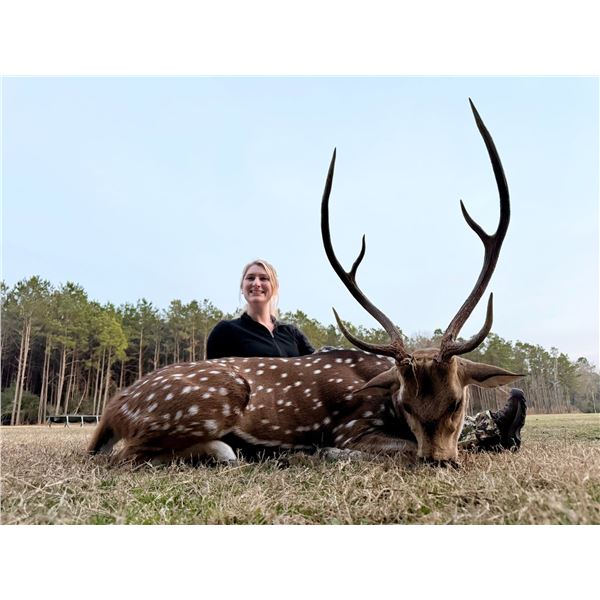 Texas Trophy Axis & Scimitar Oryx Hunt for 2 Hunters