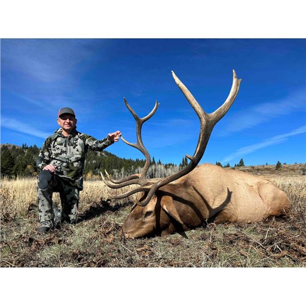 Idaho Bull Elk Hunt for Two Hunters