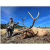 Image 1 : Idaho Bull Elk Hunt for Two Hunters