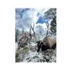 Image 3 : Idaho Bull Elk Hunt for Two Hunters